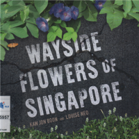 Image of Wayside flowers Singapore