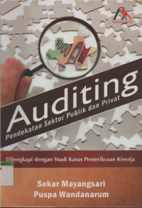Image of Auditing : pendekatan sektor publik dan privat