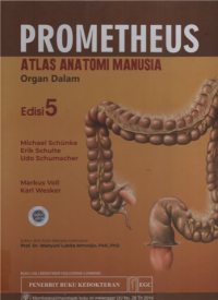 Image of Promotheus atlas anatomi manusia organ dalam